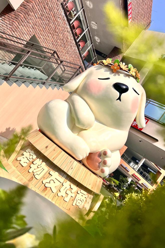 玩转“它经济” 商场打造宠物友好空间成引流新密码