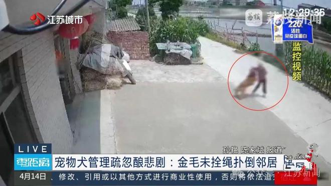 八旬老人被邻居家狗狗扑倒致死，邻居不愿赔10万，法院判决上热搜