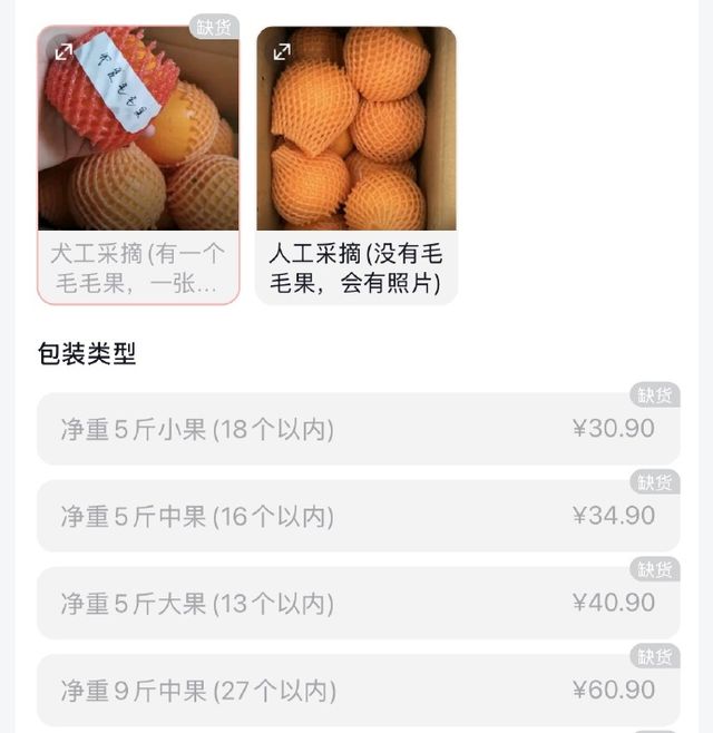 突发心脏病！摘橙子的网红小狗“毛毛”离世