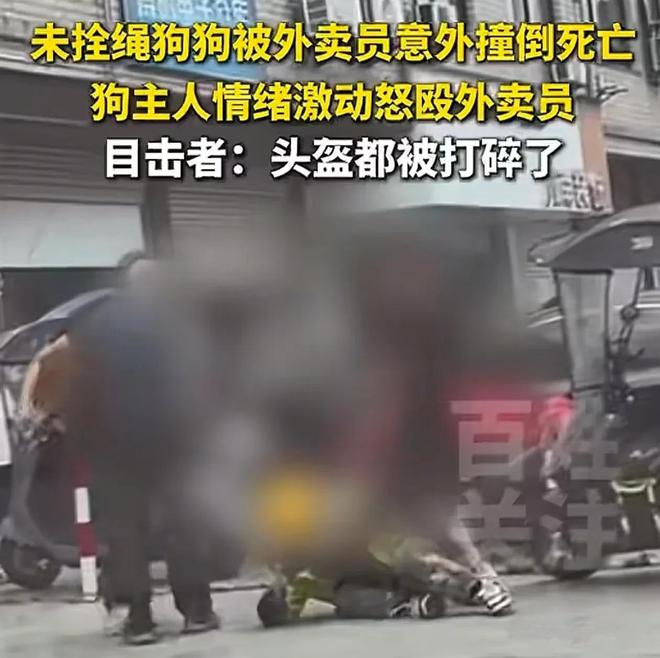 外卖小哥不慎撞到狗，遭狗主人暴打，狗主人：我的狗比你人命贵