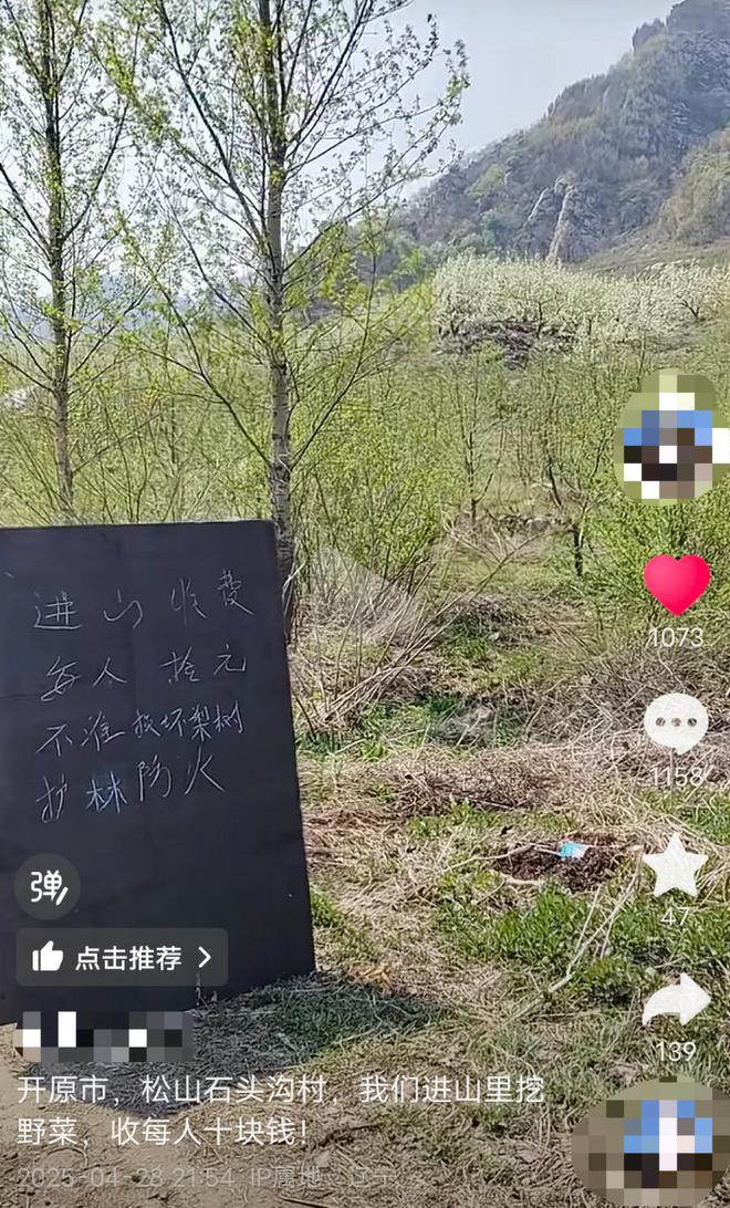 网友称开车进山挖野菜，遇村民设卡收费每人10元；镇政府：村民拦路为防攀折梨花枝