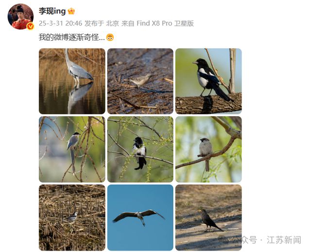 演员李现因热爱“打鸟”，被生态环境部点名！