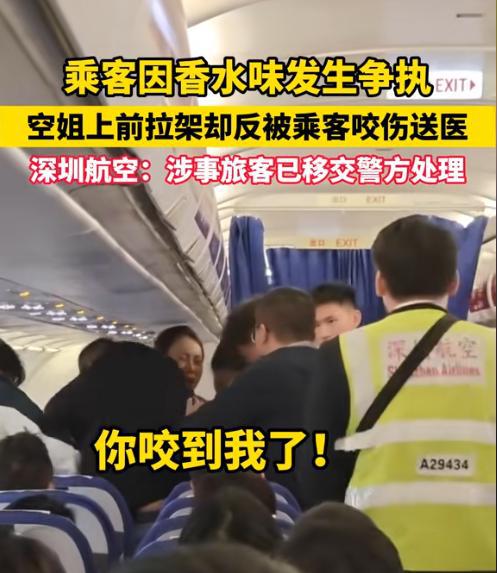 空姐劝架被女乘客咬伤，女乘客的真容被曝出，网友：样子很刁蛮