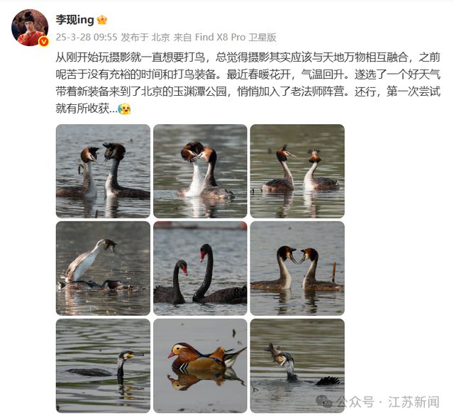演员李现因热爱“打鸟”，被生态环境部点名！