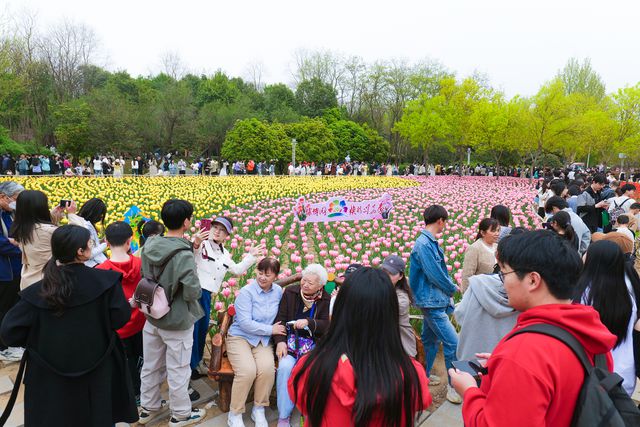 郑州：清明假期接待游客136.3万 中牟文旅市场活力迸发