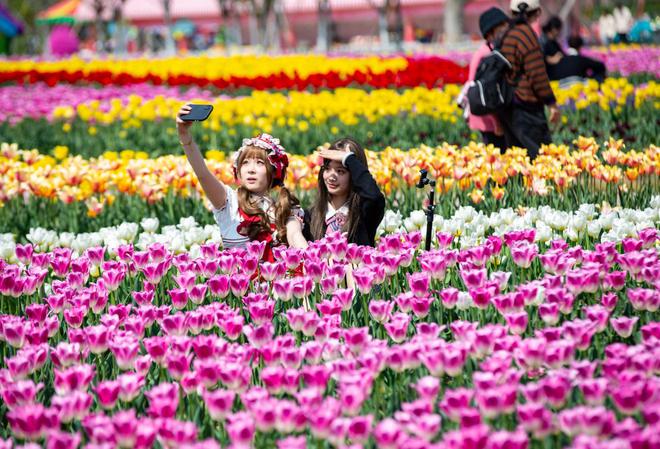 赏花游拉动旅游消费 “新银发”成为消费主力军