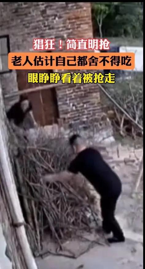 俩男子下乡偷鸡被老人发现，俩男子竟然明抢，监控拍下整个过程