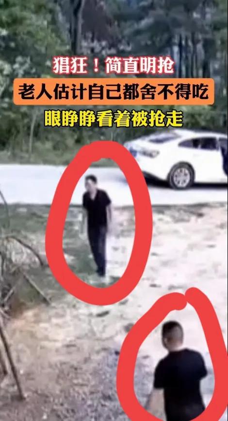 俩男子下乡偷鸡被老人发现，俩男子竟然明抢，监控拍下整个过程