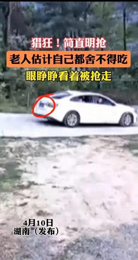 俩男子下乡偷鸡被老人发现，俩男子竟然明抢，监控拍下整个过程