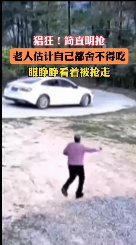 俩男子下乡偷鸡被老人发现，俩男子竟然明抢，监控拍下整个过程