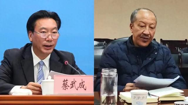 两名老同事，同日被处分