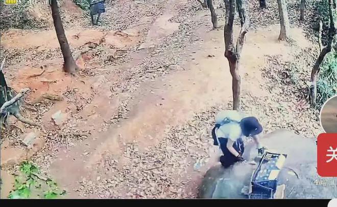 别人背上山的两箱矿泉水，竟被一女驴友故意推到山下，监控曝出