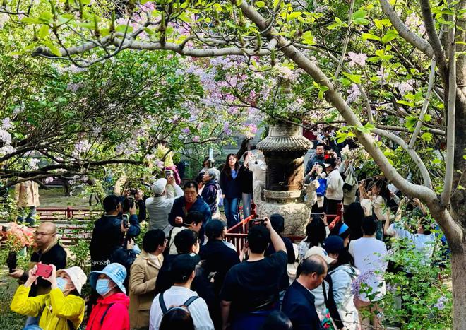 提振消费扩内需｜政策热市场暖 激发文旅消费潜力