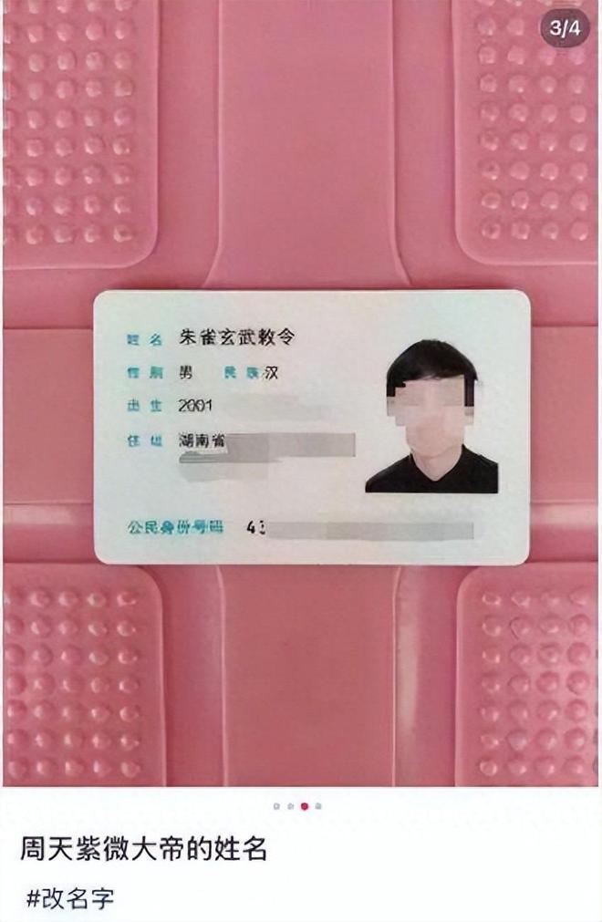“朱雀玄武敕令”已改名为“周乔治华盛顿”！他还将再改名遭怒怼