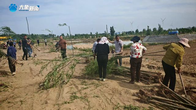 新乡卫辉：沙坑变藕塘 废地变宝地