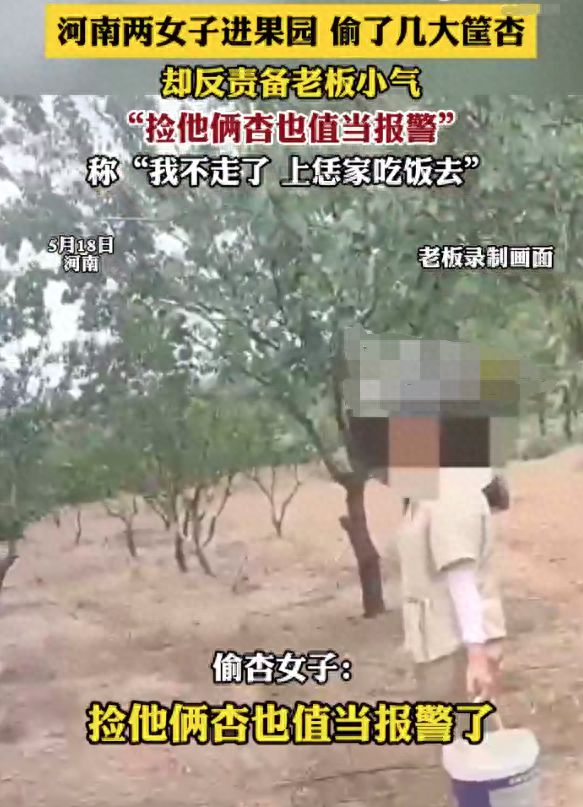 两女子偷杏被抓后态度嚣张责备老板小气，占便宜成了“本事”？