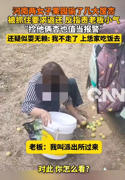 两女子偷杏被抓后态度嚣张责备老板小气，占便宜成了“本事”？
