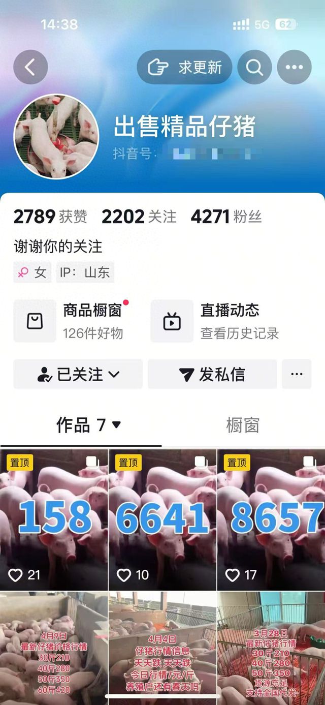 跨省买144头猪仔13天内全死亡，猪场损失10多万元维权未果；律师：动物最好线下就近买