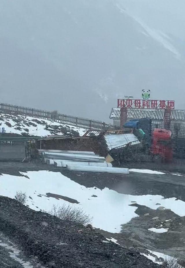 网友称暴雪致318国道折多山段拥堵，甘孜交警：天气恶劣实行交通管制