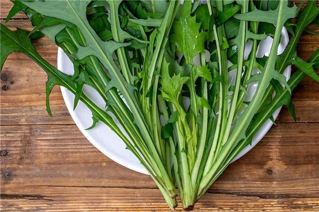 荠菜立大功？科研发现：或可在36小时内清除体内50%有害菌群