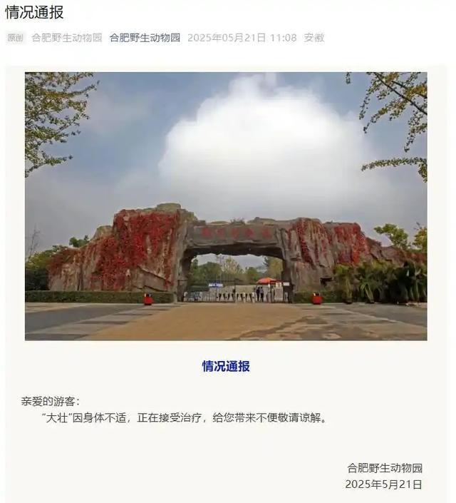 从爆红到永别一闪即逝，网红方脸猴“大壮”为何突然离世？