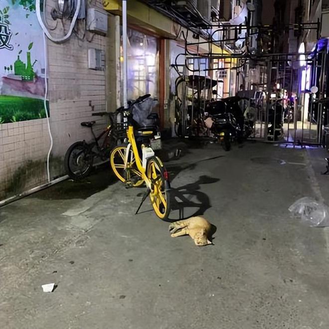 男子被亲叔叔性侵7年，男子长大后告诉家人，家人却集体包庇叔叔