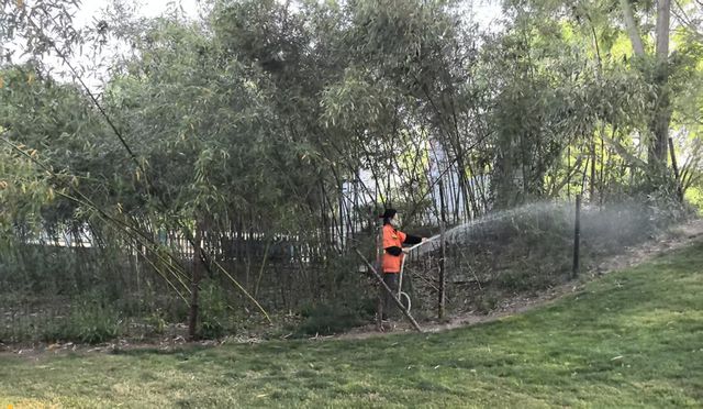 “五一”环卫不停歇 用坚守诠释劳动最美