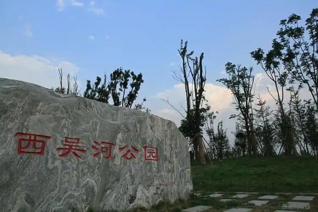 端午遇六一！郑州10个免费公园成为遛娃好去处
