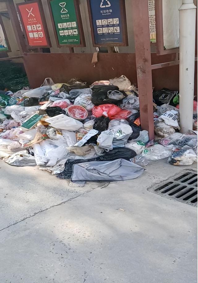 老旧小区物业“大撒把”，垃圾成堆无人清运：业主、物业、社区各方有说法
