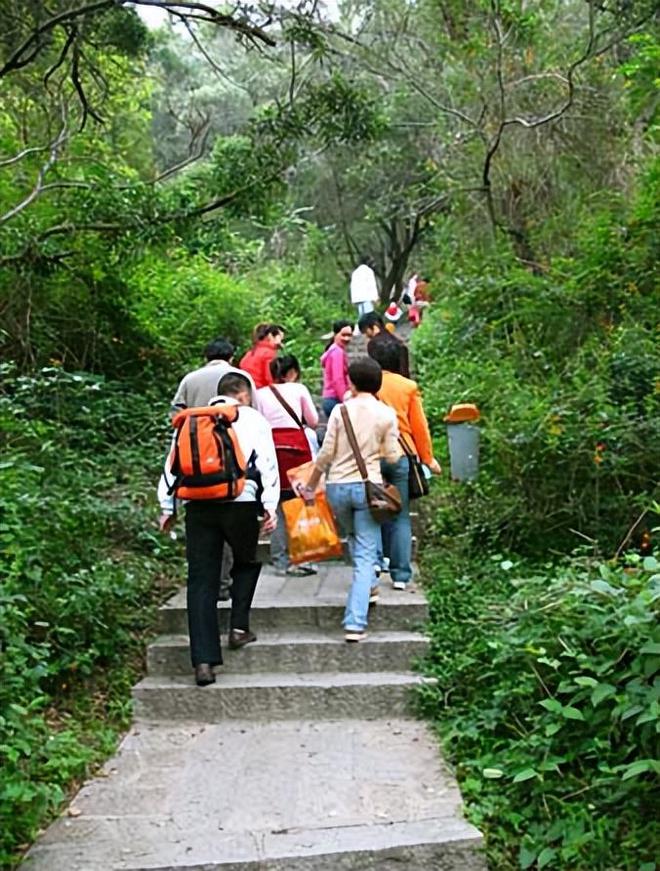 福建8岁男童爬山已失踪两天，他的影像被游客拍到，失踪细节曝出