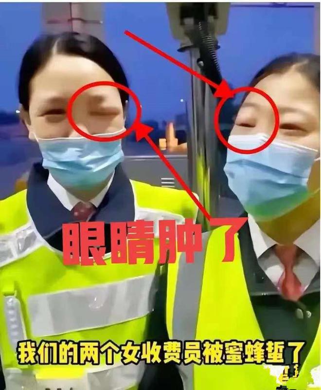 蜂农送蜜蜂去外地采蜜，收费站人员非要开箱检查不可，结果惨了