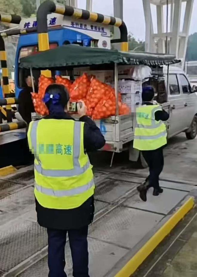 蜂农送蜜蜂去外地采蜜，收费站人员非要开箱检查不可，结果惨了