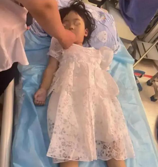 4岁女童被蜜蜂蜇死，从被蜇到去世仅一个半小时，蜜蜂究竟有多毒