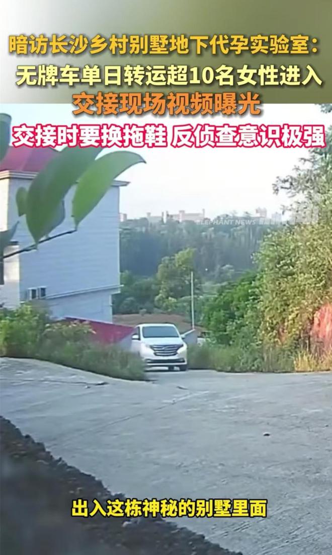 长沙地下代孕“基地”被曝，单日有超10名女性进入，均被取卵