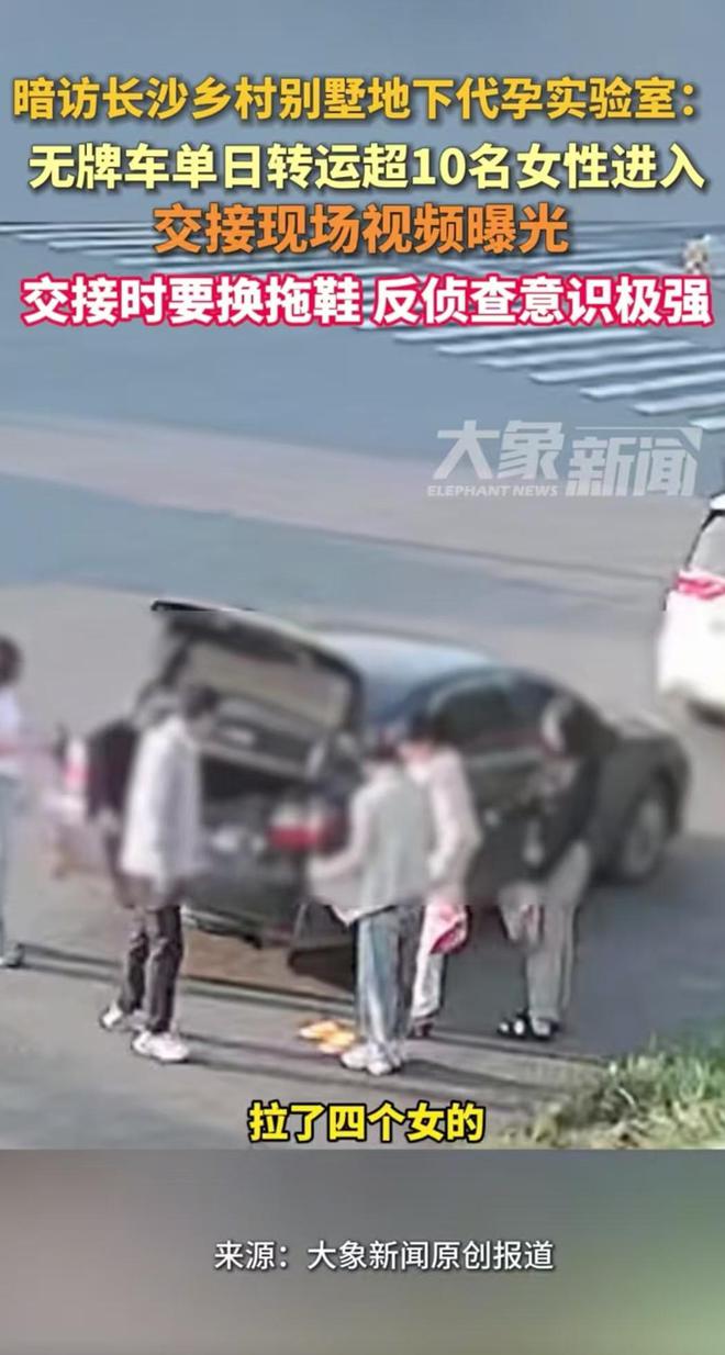 长沙地下代孕“基地”被曝，单日有超10名女性进入，均被取卵