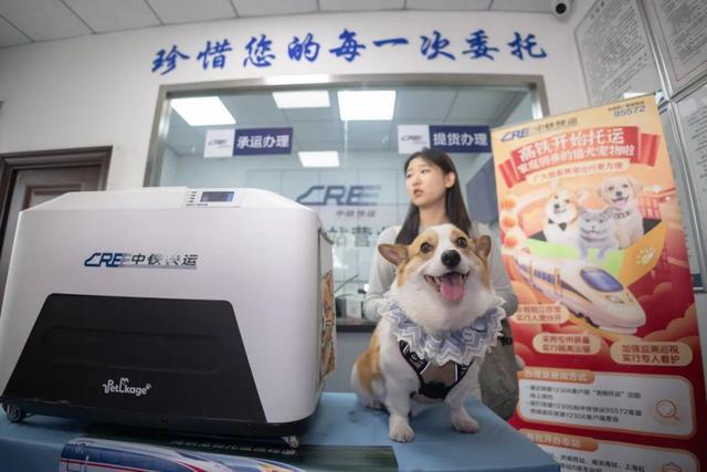 旅客携宠坐高铁试点范围扩大，新增20座车站！