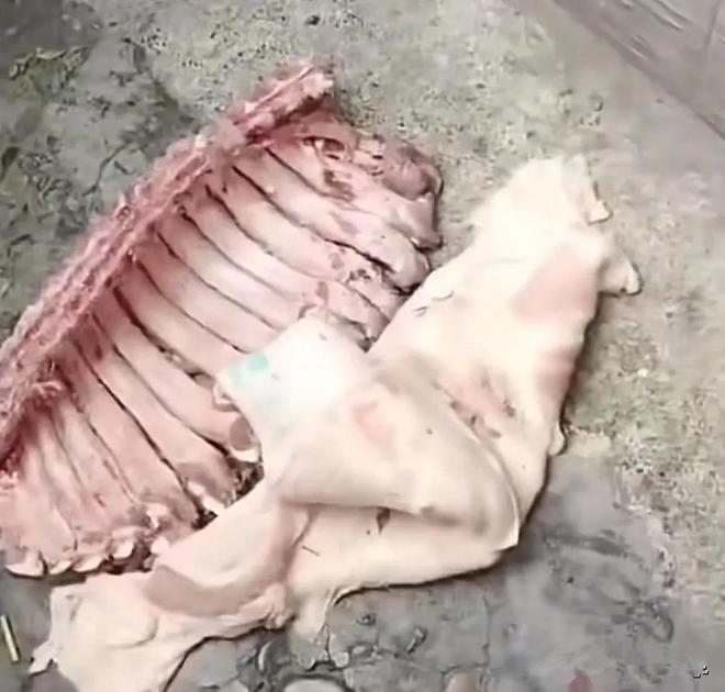 小学食堂让学生吃臭肉，老师吃好肉，被家长发现围堵，现场曝出