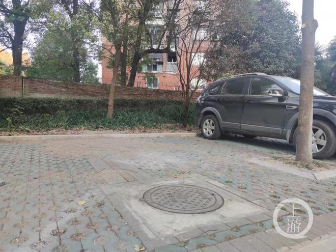 大学副教授遭精神病人棍击死亡，整个过程曝出，副教授的妻子发声