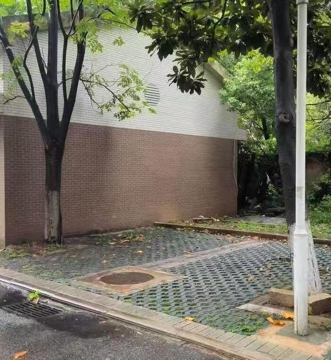 大学副教授遭精神病人棍击死亡，整个过程曝出，副教授的妻子发声
