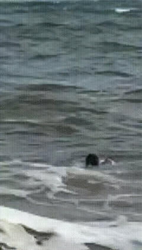 小男孩海边玩耍被海浪越卷越远，退役特种兵5分钟生死营救