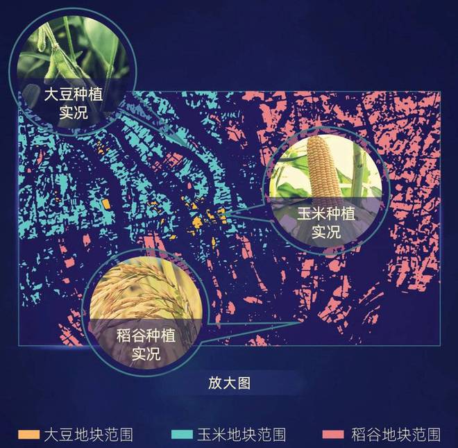 未来十年，AI CFO将成为小微企业标配？