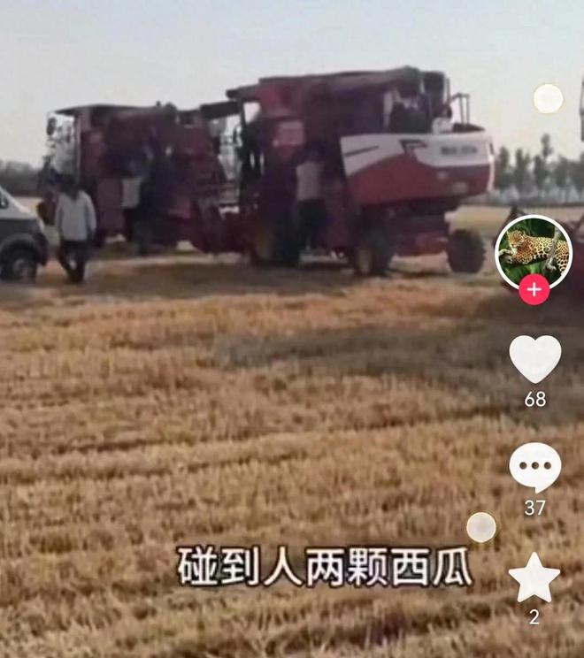 收割机压坏两棵瓜苗遭索赔1200元！瓜农：瓜生籽，籽生瓜，没多要