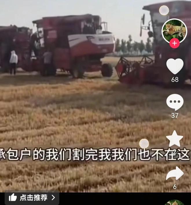 收割机压坏两棵瓜苗遭索赔1200元！瓜农：瓜生籽，籽生瓜，没多要