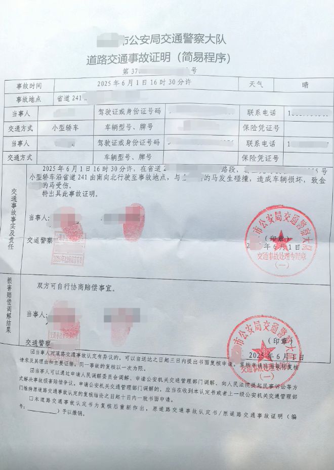 省道上突然蹿出受惊马，撞碎小车前挡风玻璃；车主郁闷：交警出警未定责，马主人索赔该咋办?