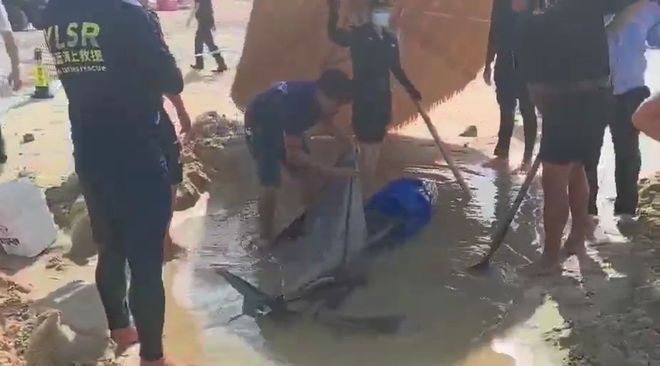 海南万宁2米长海豚搁浅海滩，众人为其披浴巾紧急救助