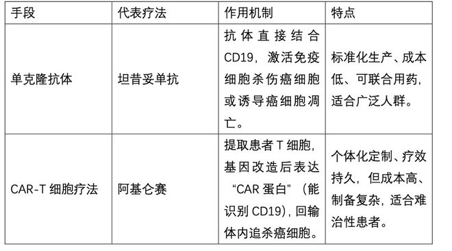 抗癌新药CD19单抗获批上市