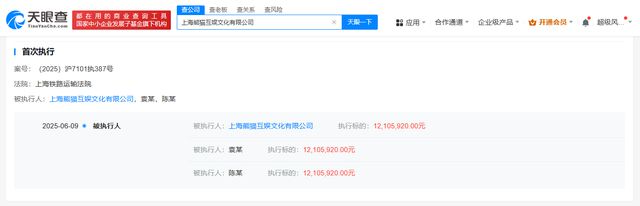 王思聪名下熊猫互娱被执行1210万