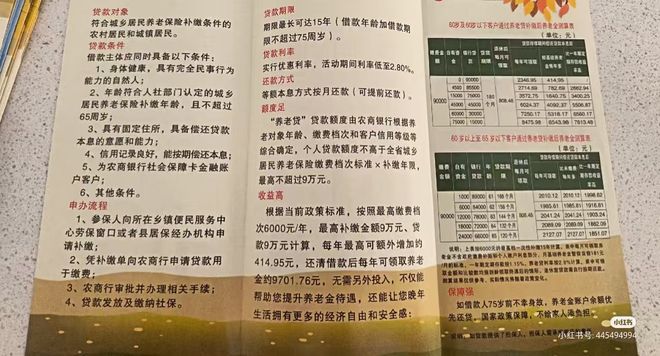 “养老贷”疑云：金融创新还是陷阱？