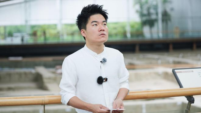 谁能与辉同行：揭秘流量密码下的真实力量