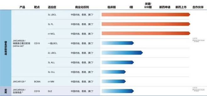 国产CAR-T进军实体瘤：解码管线布局与市场潜力